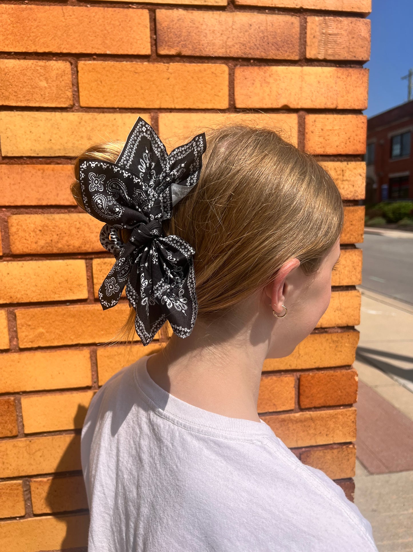 Ribbon Jaw Hair Clip
