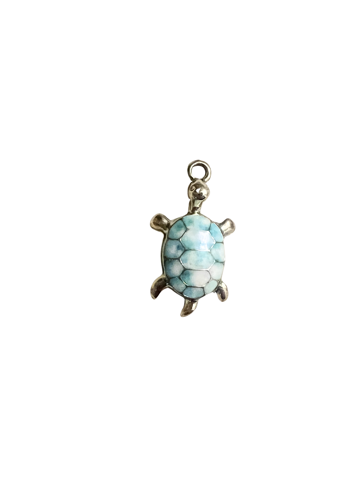 Teal Turtle Charm